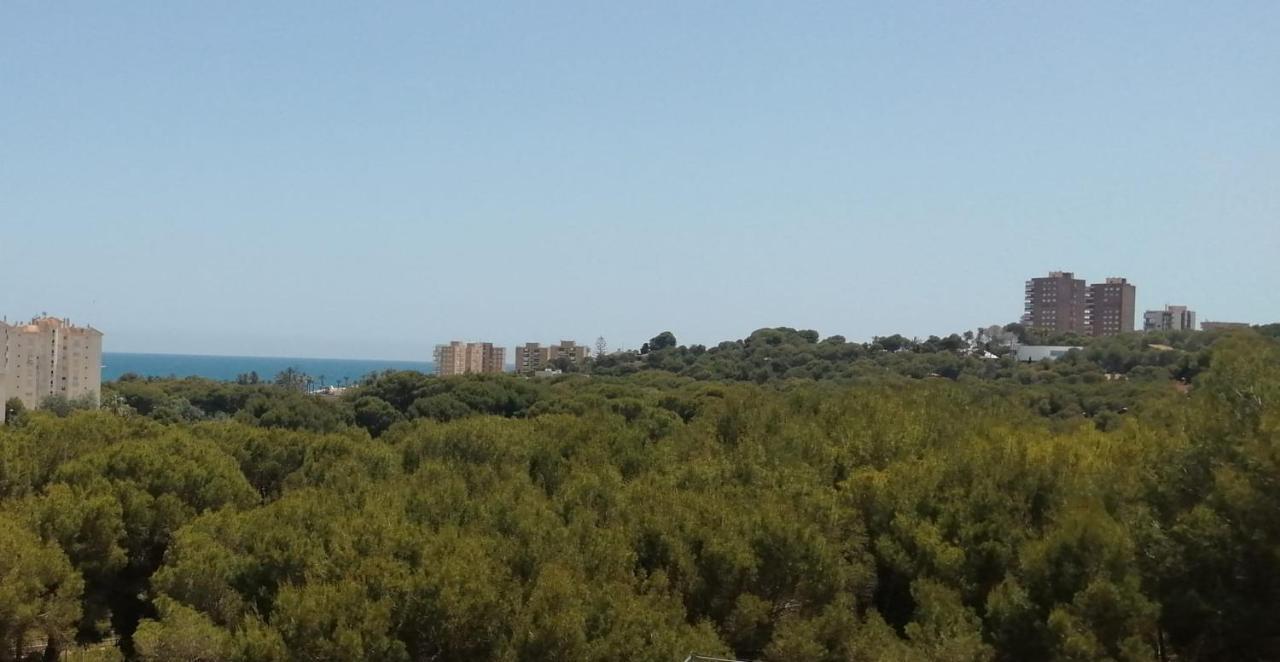 Campoamor Seaview Экстерьер фото