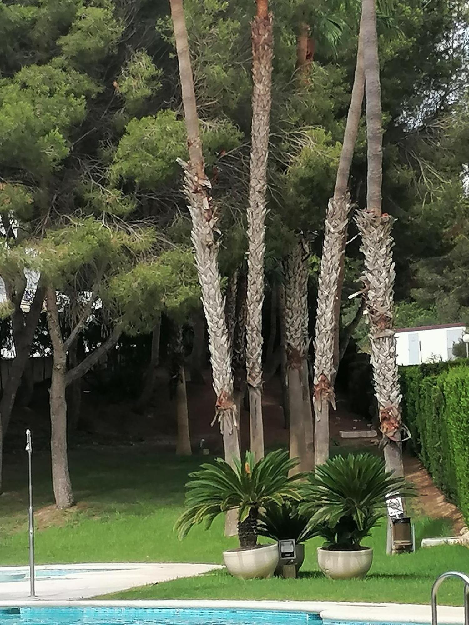 Campoamor Seaview Экстерьер фото